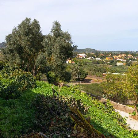 Live Finca El Gamonal Bajo Con Piscina Y Jardin En La Naturaleza Santa Brígida Dış mekan fotoğraf