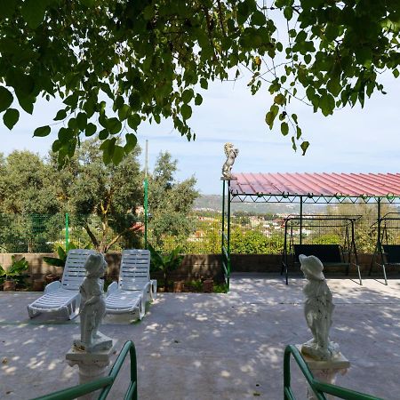 Live Finca El Gamonal Bajo Con Piscina Y Jardin En La Naturaleza Santa Brígida Dış mekan fotoğraf