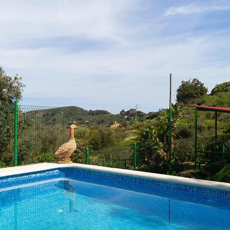 Live Finca El Gamonal Bajo Con Piscina Y Jardin En La Naturaleza Santa Brígida Dış mekan fotoğraf