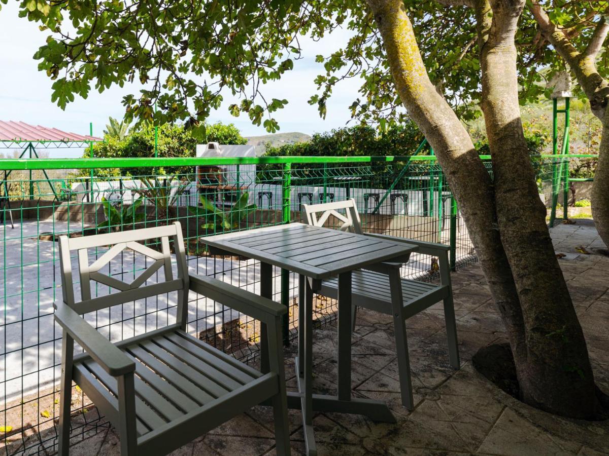 Live Finca El Gamonal Bajo Con Piscina Y Jardin En La Naturaleza Santa Brígida Dış mekan fotoğraf