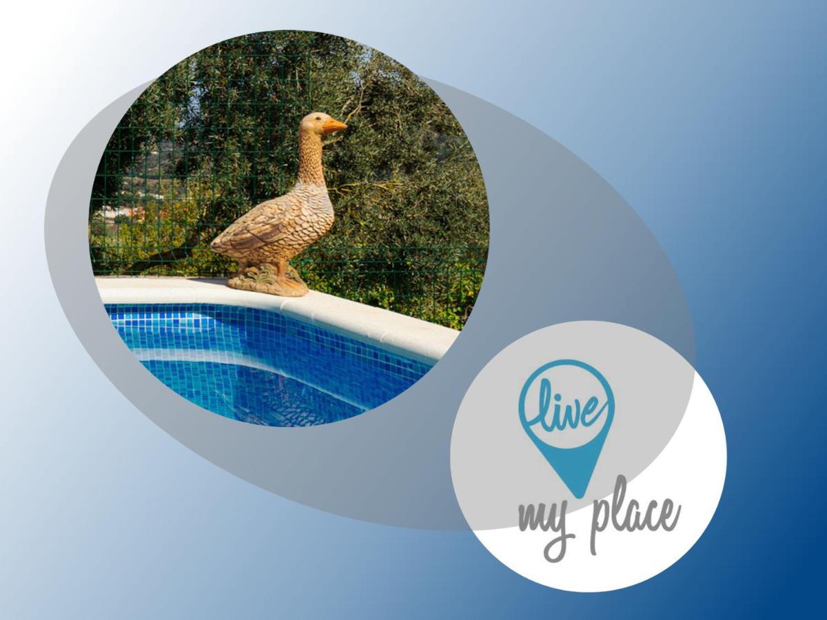 Live Finca El Gamonal Bajo Con Piscina Y Jardin En La Naturaleza Santa Brígida Dış mekan fotoğraf